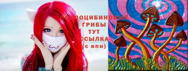 метадон Каменка