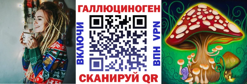 Купить где  Мыски  Галлюциногенные грибы Psilocybine cubensis 